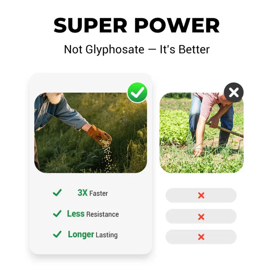 Cyclosinone Herbicide Granules 500gms Per Pack (🔥BUY 1 Pack GET 2 Pack FREE )
