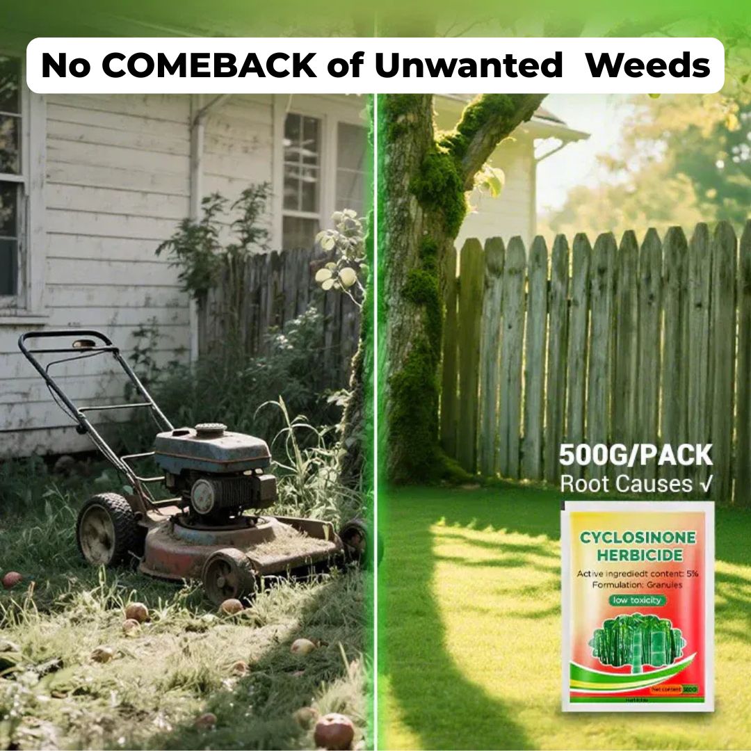 Cyclosinone Herbicide Granules 500gms Per Pack (🔥BUY 1 Pack GET 2 Pack FREE )