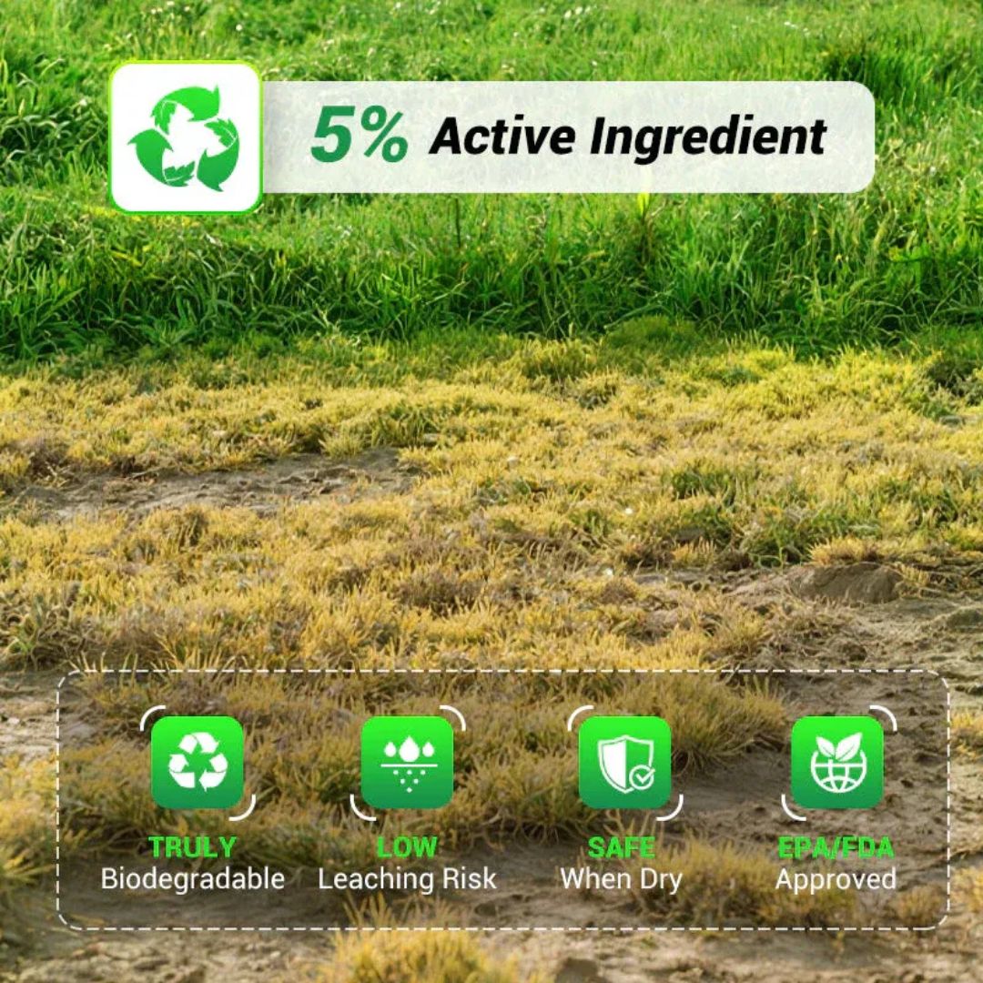 Cyclosinone Herbicide Granules 500gms Per Pack (🔥BUY 1 Pack GET 2 Pack FREE )
