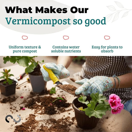 Organic Vermicompost 500gms (Buy 1 Get 1 Free)